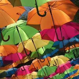 Meet your Posher, Wendy